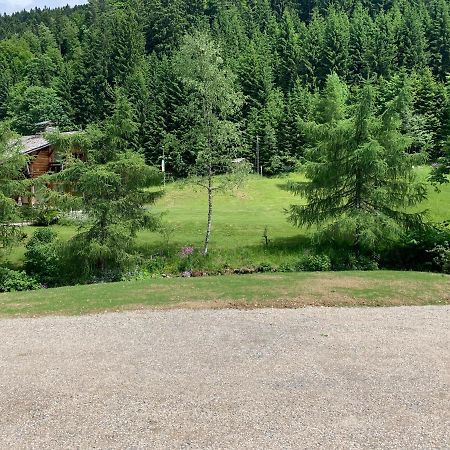 Appartement Chalet Louison Les Gets Luaran gambar